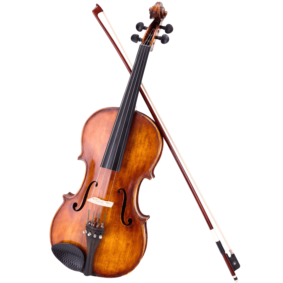 TSM-Violin copy TSM-Violin copy